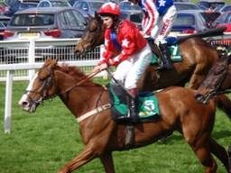 Sire De Grugy for blog r.jpg