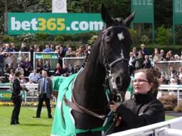 Taquin De Seuil for blog r.jpg