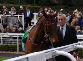 Bobs Worth.jpg