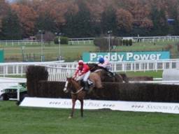 Sire De Grugy Tingle Creek for blog r.jpg