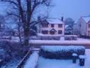 Snow red 2.jpg
