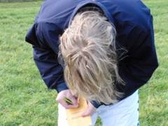 Choc Q & A blog r.jpg