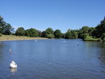 St Albans 7.jpg