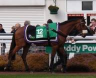 Sandown 7 Mar 09 red g.jpg