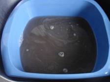 muddy water.jpg