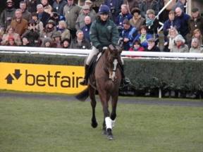 Kauto Star for blog.jpg