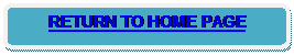 Rounded Rectangle: RETURN TO HOME PAGE