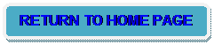 Rounded Rectangle: RETURN TO HOME PAGE