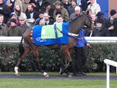 Newbury 27 Nov 2010 Peddlers Cross r.jpg