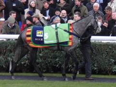Newbury 27 Nov 2010 Starluck r.jpg