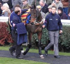 Newbury 27 Nov 2010 Betchworth Kid r.jpg