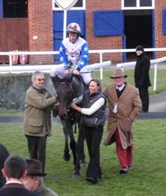 Newbury 27 Nov 2010 Diamond Harry r.jpg