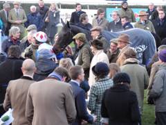 Newbury 27 Nov 2010 Diamond Harry 3 r.jpg