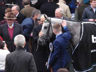 z10 race 3 winner Terrefort.jpg