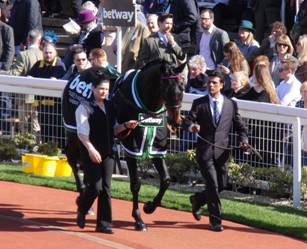 Sprinter Sacre parade 15 March 2017.jpg