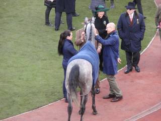 Runner-up Terrefort 13.jpg