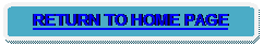 Rounded Rectangle: RETURN TO HOME PAGE