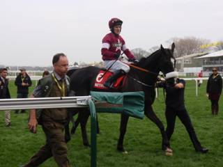 Don Cossack.jpg