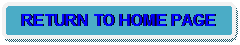Rounded Rectangle: RETURN TO HOME PAGE 