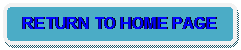 Rounded Rectangle: RETURN TO HOME PAGE