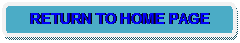 Rounded Rectangle: RETURN TO HOME PAGE