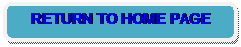 Rounded Rectangle: RETURN TO HOME PAGE