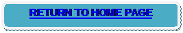 Rounded Rectangle: RETURN TO HOME PAGE