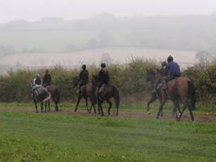 On the gallops 3.jpg
