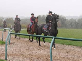On the gallops 7.jpg