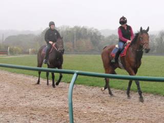 On the gallops 8.jpg