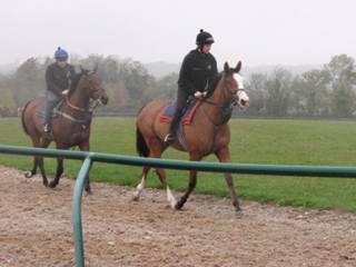 On the gallops 9.jpg