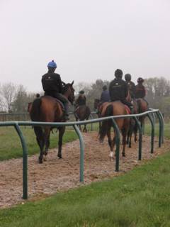 On the gallops 10.jpg