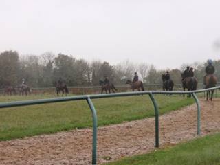 On the gallops 11.jpg