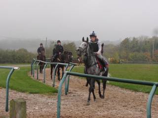 On the gallops 12.jpg
