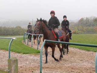 On the gallops 13.jpg