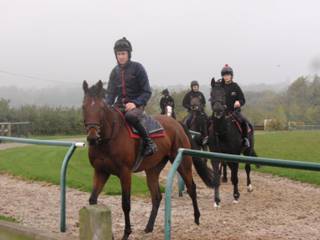 On the gallops 15.jpg