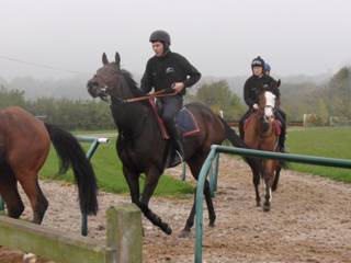 On the gallops 16.jpg