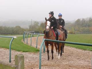 On the gallops 17.jpg