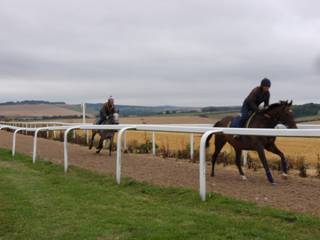 332 Gallops 1st time.jpg