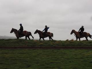 Gallops 2.jpg