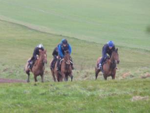 Gallops 5.jpg