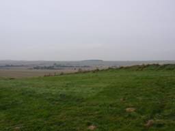 view from the gallops r.jpg