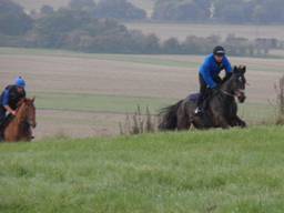Gallops 2 r 2.jpg