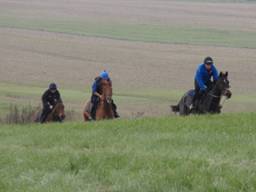 gallops 5 r 2.jpg