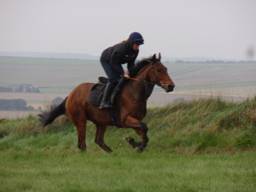 Gallops 6 r.jpg