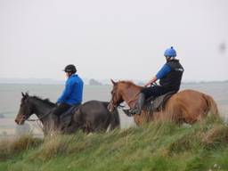 Gallops 9 r.jpg