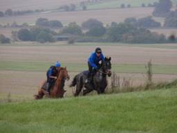 Gallops 9a r.jpg