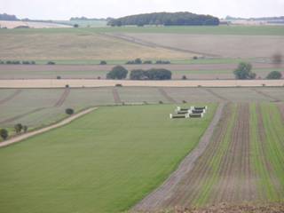 7 Gallops.jpg