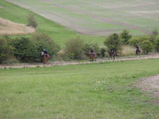8 Gallops.jpg