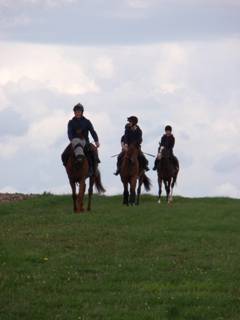 9 Gallops.jpg